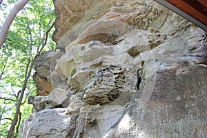 Sandstone cliff overhanging cliff at Meadowcroft rockshelter