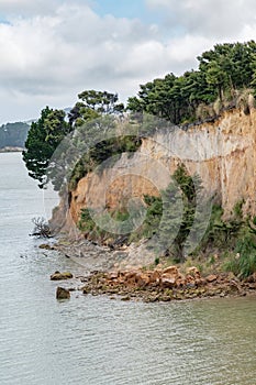 Sandstone cliff with trees at Kaipara