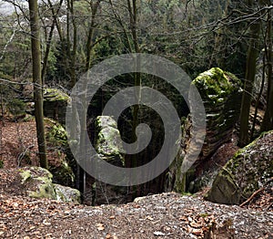 Sandstone Cliffs in Bohemian Paradise