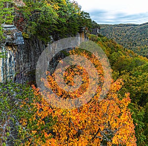 The Sandstone Cliffs of The Endless Wall
