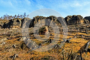 Sandstone cliffs and forest landscape under clear blue sky