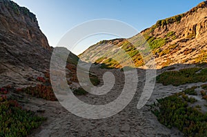 The Sandstone Cliffs at Fort Ord Dunes State Park