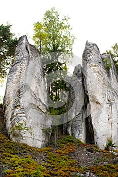 Sandstone cliffs - Prachov Rocks, Czech Republic
