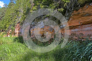 Scenic Sandstone Cliffs Along Forest Stream In Summer Sunlight