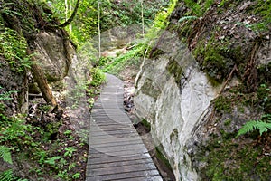 Sandstone cliffs and walkway in Hinni canyon (Hinni kanjon) Estonia