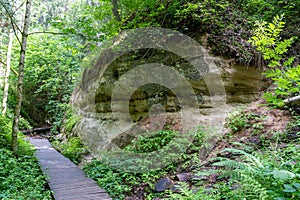 Sandstone cliffs and walkway in Hinni canyon (Hinni kanjon) Estonia