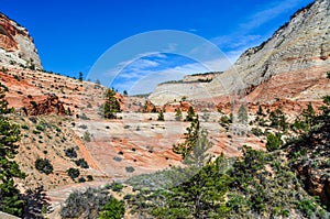 Sandstone Colors of Zion National Park