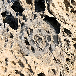 Sandstone detail in Lopar on the island Rab in Croatia