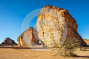 Sandstone elephant rock erosion monolith standing in the desert, Al Ula, Saudi Arabia photo