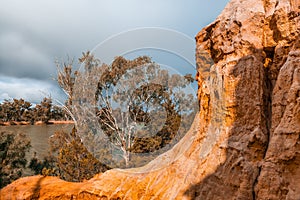 Sandstone eroding cliffs and gum trees.