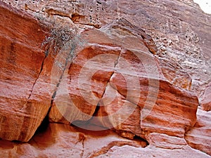 Sandstone erosion The Siq Petra in the Kingdom of Jordan