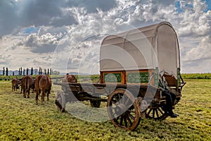 Resting time for an ox-wagon bullocks and people at Sandstone Estates. photo