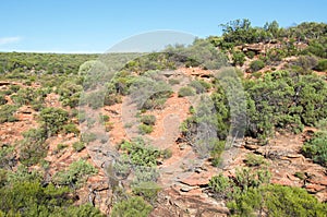 Sandstone and Flora: Z-bend