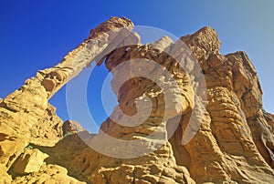 Sandstone formation called Elephant Rock in Valley of Fire State Park, NV photo