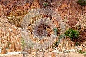 Sandstone formations and needles in Tsingy Rouge Park in Madagascar