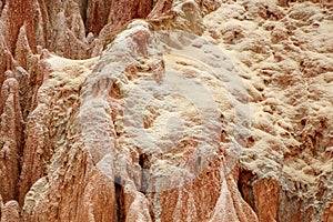 Sandstone formations and needles in Tsingy Rouge Park in Madagascar photo