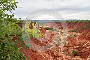 Sandstone formations and needles in Tsingy Rouge Park in Madagascar photo