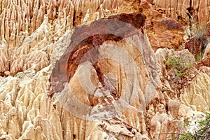 Sandstone formations and needles in Tsingy Rouge Park in Madagascar photo