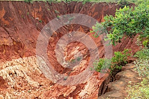 Sandstone formations and needles in Tsingy Rouge Park in Madagascar photo