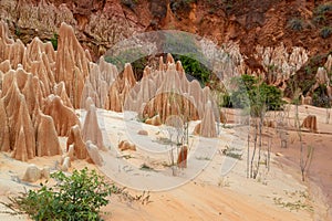 Sandstone formations and needles in Tsingy Rouge Park in Madagascar photo