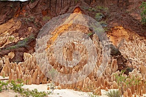 Sandstone formations and needles in Tsingy Rouge Park in Madagascar photo