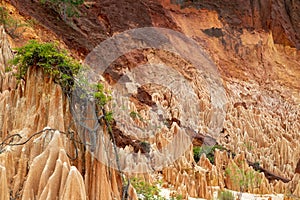 Sandstone formations and needles in Tsingy Rouge Park in Madagascar photo
