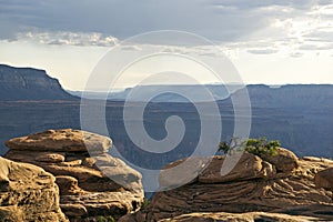 Sandstone Hoodoos in the Expanse