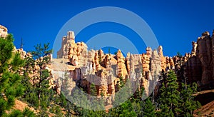 Sandstone hoodoos  in southwestern Utah