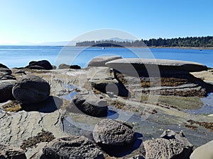 Sandstone mineralogy on Hornby island