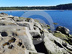 Sandstone mineralogy on Hornby island photo