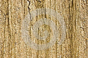 Sandstone mountains.