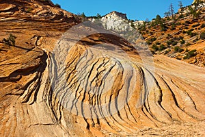 Sandstone patterns â€“ Zion national Park.