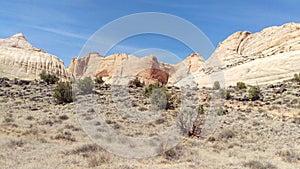 Sandstone Reef at Capitol Reef