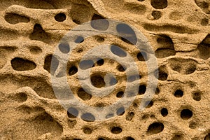 Sandstone rock along the cliffs. Rocks are full of holes by weathering and erosion. Weathered sandstone texture background