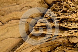 Sandstone rock along the cliffs. Rocks are full of holes by weathering and erosion. Weathered sandstone texture background