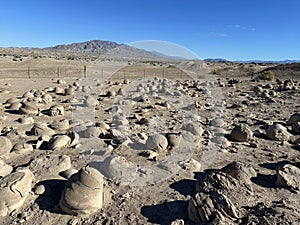 Sandstone Rock Concretions Create an Unusual Rock Garden in the Desert! photo