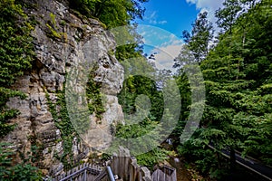 Sandstone rock formation, wild vegetation, trees with green foliage, wooden ladder, Black Ernz river