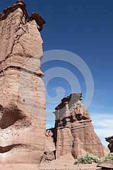 Sandstone rock formations eroded by water and wind in the Talampaya Canyon National Park, archaeological and paleontological site