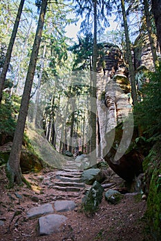 Sandstone rock formations in Prachovske skaly