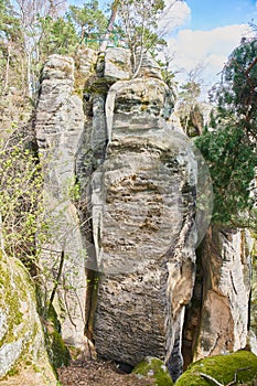 Sandstone rock formations in Prachovske skaly