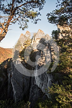 Sandstone rock with mountain pine, colorful forest on the background and clear sky near Goticka brana natural arch in autumn