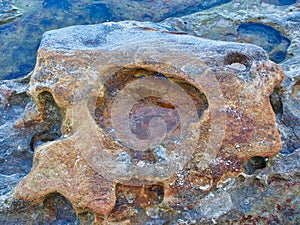 Sandstone Rock Pools, Bondi Beach, Australia