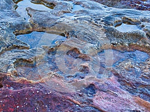 Sandstone Rock Pools, Bondi Beach, Australia