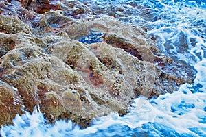 Sandstone Rock Pools, Bondi Beach, Australia
