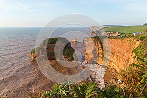 Sandstone rock stacks Ladram Bay Devon England UK located on the Jurassic Coast