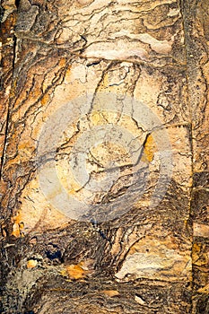 Sandstone Rock Texture And Pattern