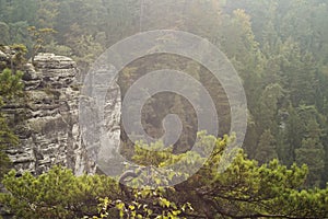 Sandstone rock towers in Czechia