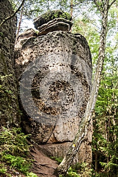 Sandstone rock with trees around in CHKO Kokorinsko in Czech republic