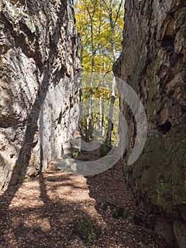 Sandstone rock wall, gate or tunnel at colorful autumn deciduous tree forest at sunny day. Nature park Kokoronsko, Czech