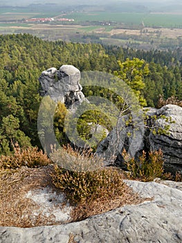 Sandstone rocks